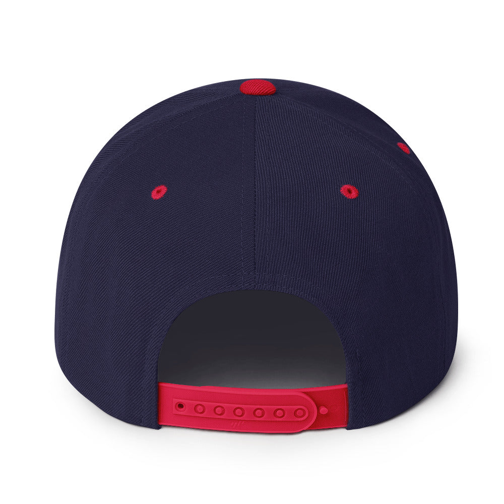 NFZ Baseball - Snapback Hat